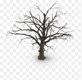 Spooky Tree Png Hd Old Dead Tree Png