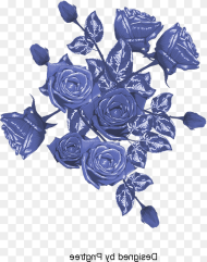 Blue Flowers Background Blue Rose Hd Png Download