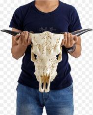 Carved Cow Skull Horn Hd Png Download