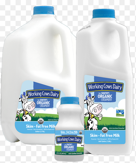 Transparent Gallon of Milk Clipart Working Cows Dairy