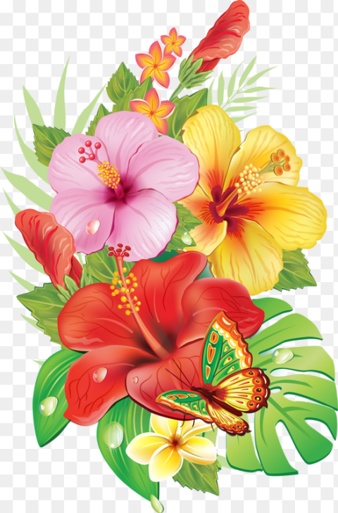 Free  Images of Beautiful Flowers Free Tropical