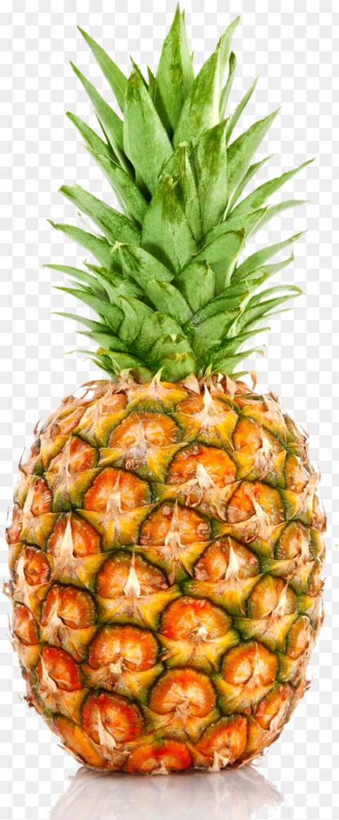 Pineapple Png Background Single Fruits and Vegetables Transparent