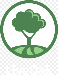 Tree Icon Gif Icon Tree Png Transparent Png