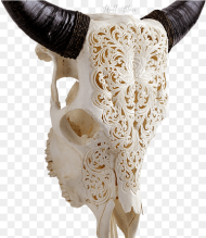 Skull Variant Skull Only Carved Cow Skull Xl