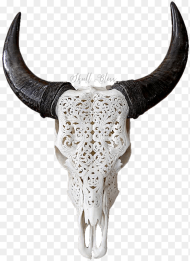 Texas Longhorn English Longhorn Skull Goat Carved Cow