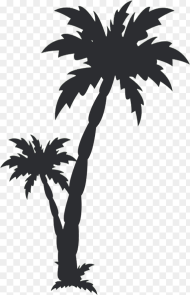 Transparent Black Palm Tree Png Black Date Tree