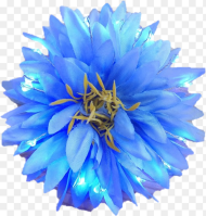 Blue Dahlia Flower Png Transparent