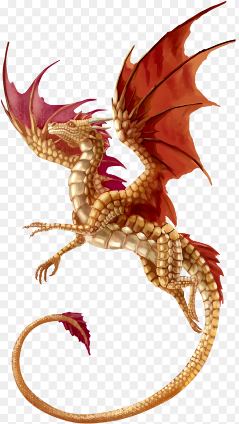 T Shirt Dragon Fantasy Transparent Background Transparent Dragon T Shirt Dragon Fantasy Transparent Background Transparent Dragon