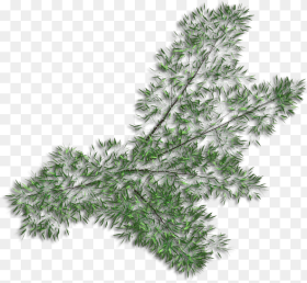 Grass Hd Png Download