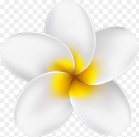 Tropical Flower Yellow Clipart Hd Png