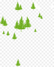 Transparent Evergreen Trees Png Christmas Tree Png Download 