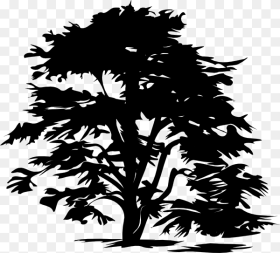 Black Tree Clipart Free Hd Png Download