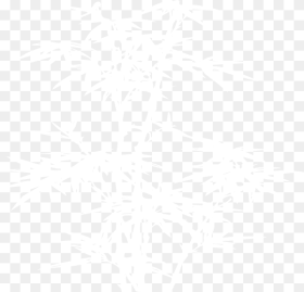 Bamboo White and Black Hd Png Download