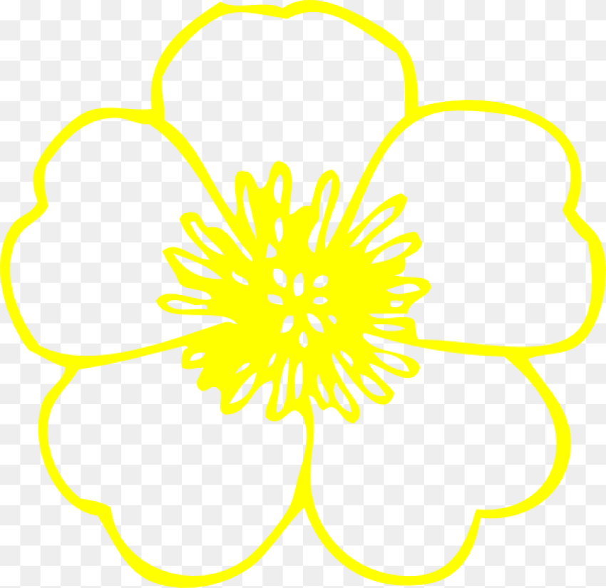 Yellow Buttercup Flower Svg Clip Arts Flower Hd