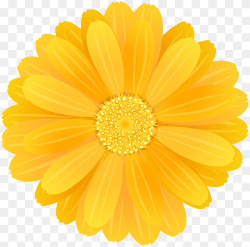 Yellow Flower Png Yellow Flower  Background