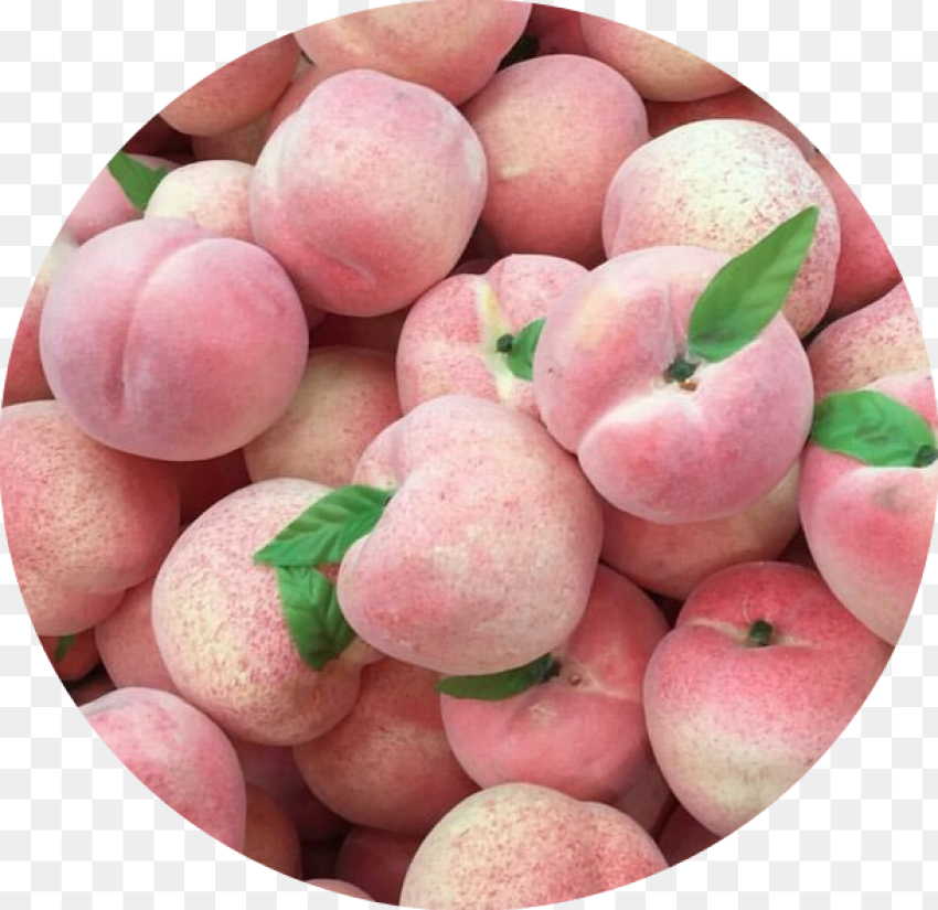 Peach Peachy Durazno Tumblr Aesthetic Cute Pink Aesthetic