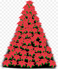 Fir Pine Family Christmas Decoration Christmas Tree Hd