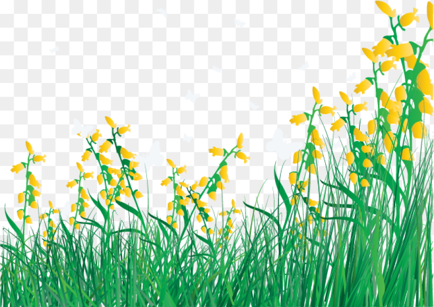 Lawn Vector Grass Flower Cartoon Flowers and Grass