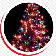 Christmas Tree Outdoor Decorated Hd Png Download