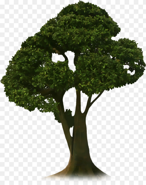 Picsart Tree Png Hd Transparent Png