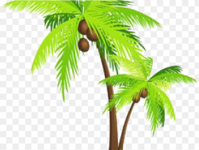 Palm Tree Png Transparent Images Transparent Background Coconut