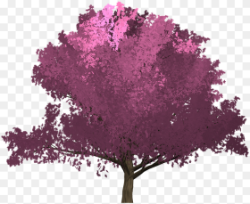 Cherry Pink Tree Painted Tree Purple Portadas De