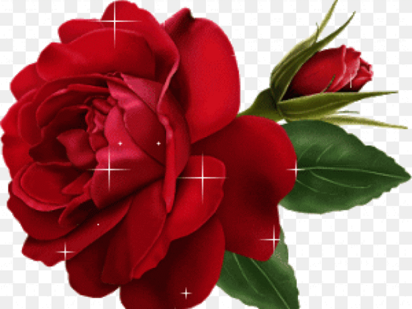 Red Rose Clipart Animated Rose Flower Gif Hd