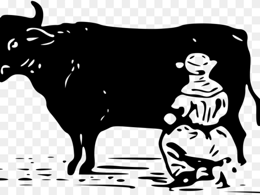 Drawn Cow Vector Dairy Subsidies Hd Png Download