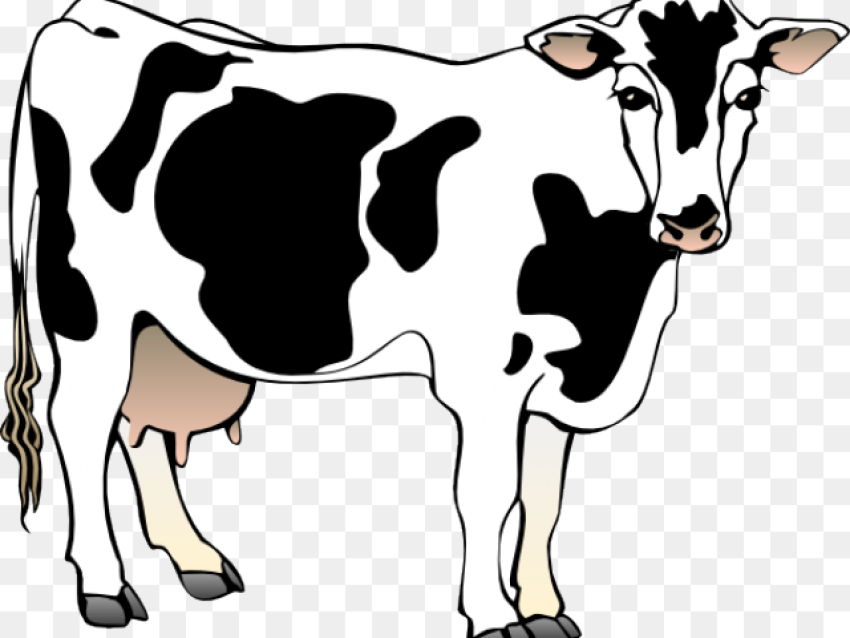 Baby Cow Cliparts Animated Image of Cow Hd