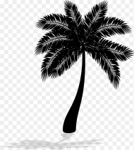Palm Tree Png Transparent Png Download 