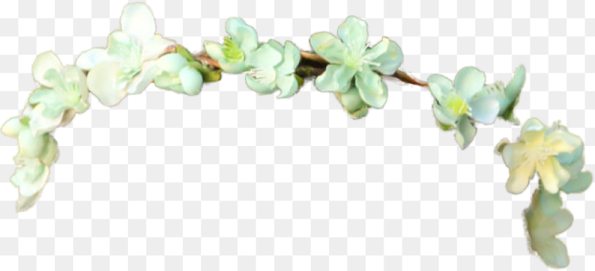 Small Flower Crown Png 