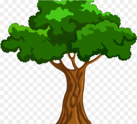 Codes for Insertion Transparent Background Tree Cartoon Hd