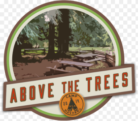 Above the Trees Tree Hd Png Download
