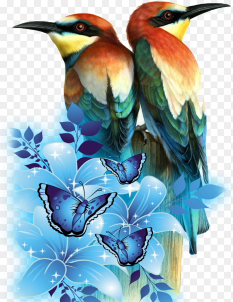 Mq Birds Parrots Flying Flowers Flower and Blue