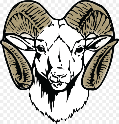 Argali Sheep Head Line Art Goat Antelope Wing