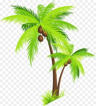 Palm Tree Beach Images Png Image Transparent Background