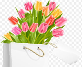 Flowers Bouquet Tulips Png Tulip Flowers  Png