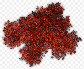 Top View Flower Tree Png Transparent Png