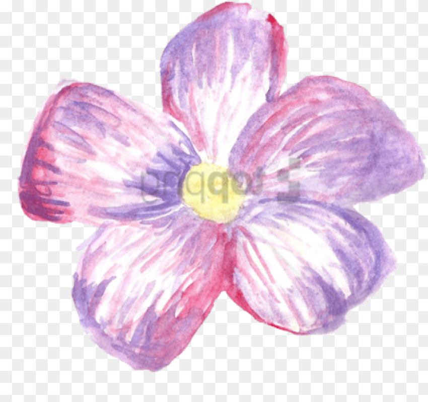 Flower Crown Png Tumblr  Png Overlays