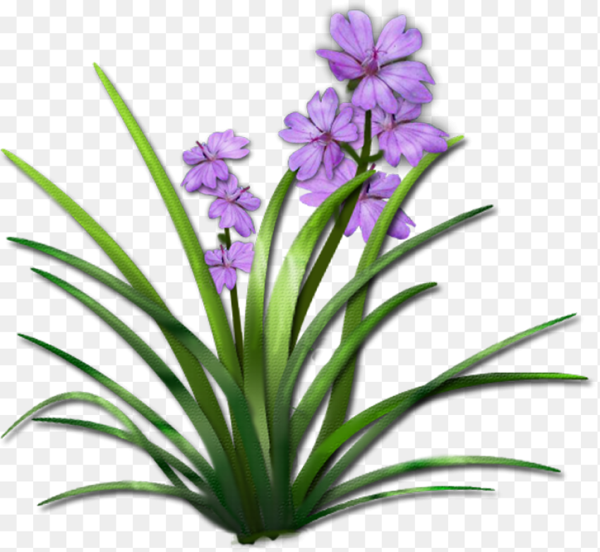 Garden Flowers Png Plant With Flower Png