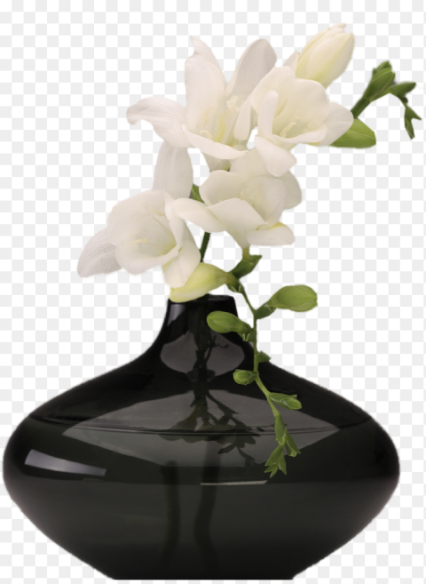 Flowers on Vase Png
