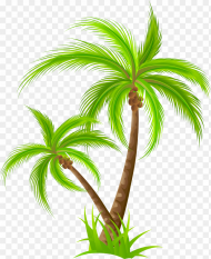 Medium Size of Christmas Tree Palm Tree Png