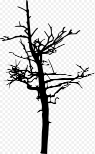 Spooky Tree Png Transparent Png