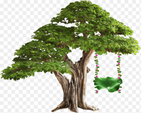 Tree Swing Treeswing Plant Tissue in Hindi Hd