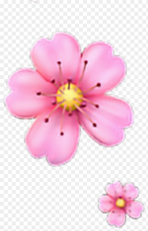Freetoedit Floweremoji Flower Emoji Iphone Iphoneemoji Pink Flower