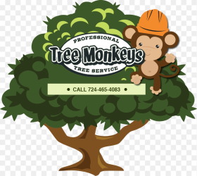 Tree Monkey Tree Service Green Monkey Tree Service