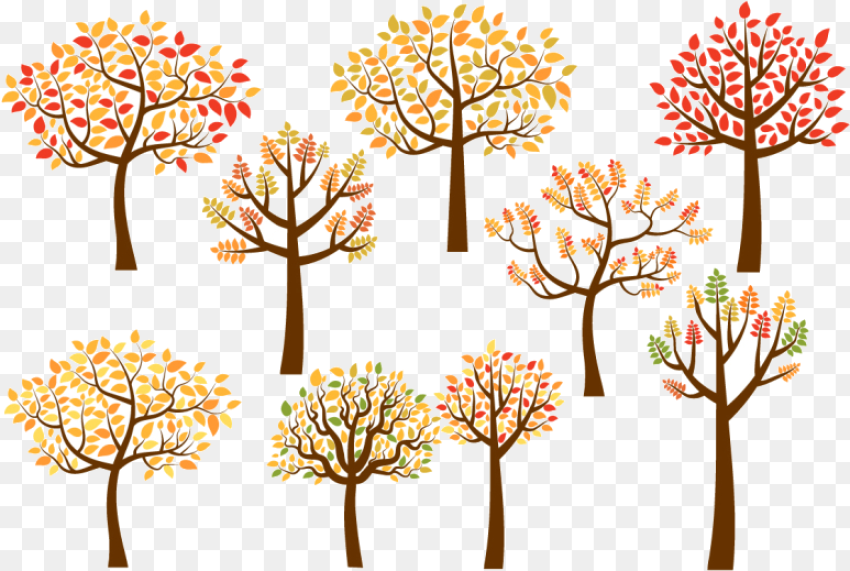 Transparent Deciduous Tree Png Autumn Tree Clipart Png