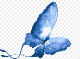 Butterfly Women Png  Butterflies Background Blue