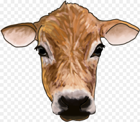 Cow Dairy Cow Hd Png Download
