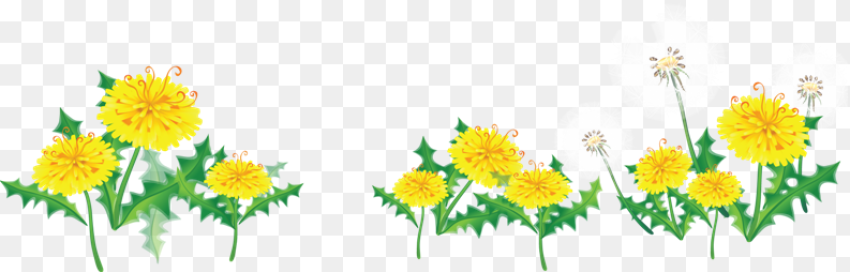 Res Flower Border by Hanabell on Clipart Library